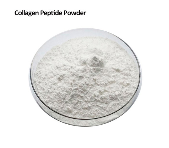 Guide to Bulk Collagen Powder COA: Key Indicators Buyers Should Verify Before Approving Products